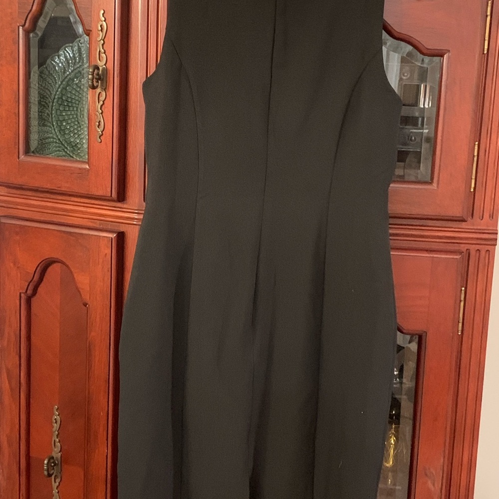 Audrey Hepburn Dress View 2